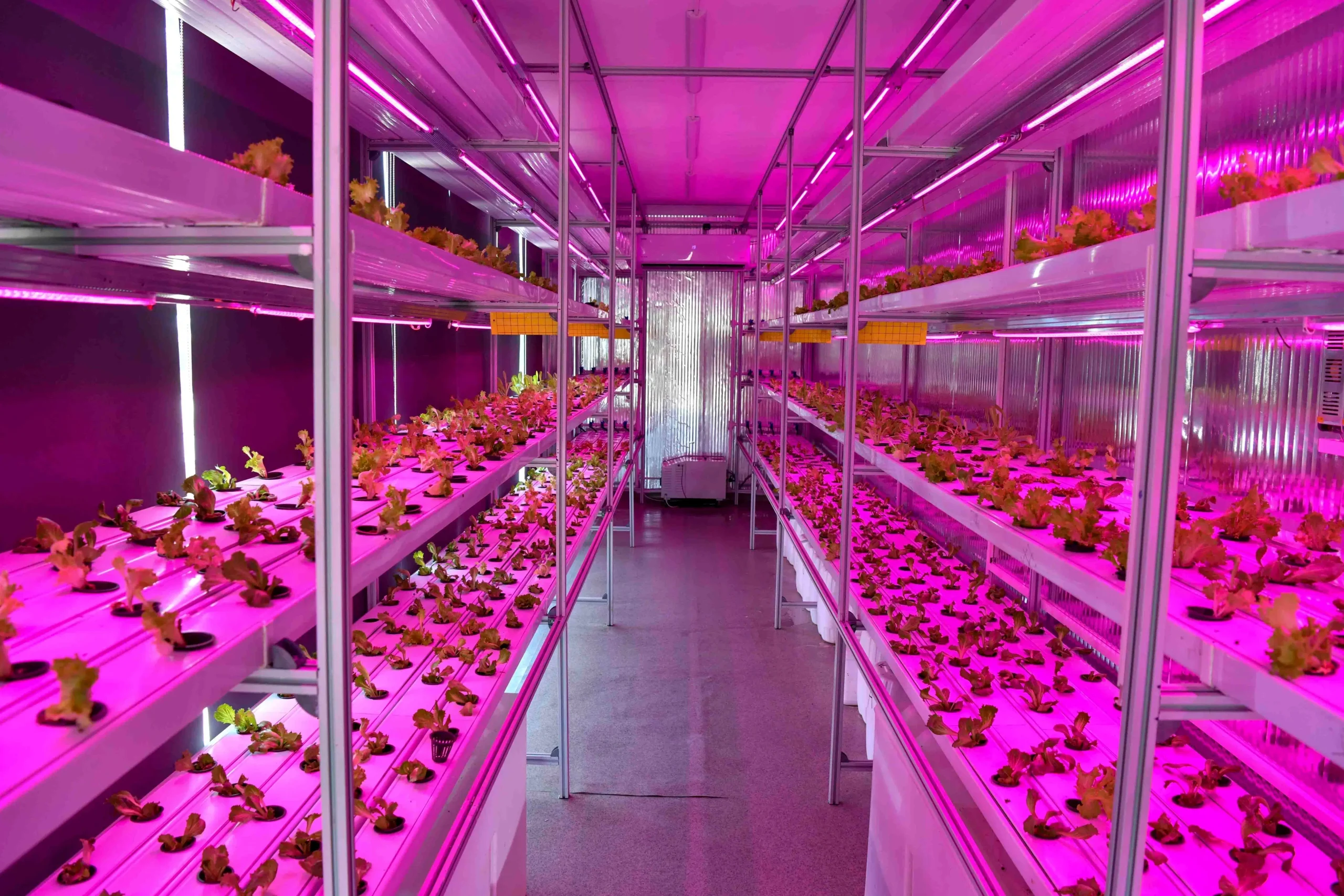 Topraksız Dikey Tarım Konteynerleri